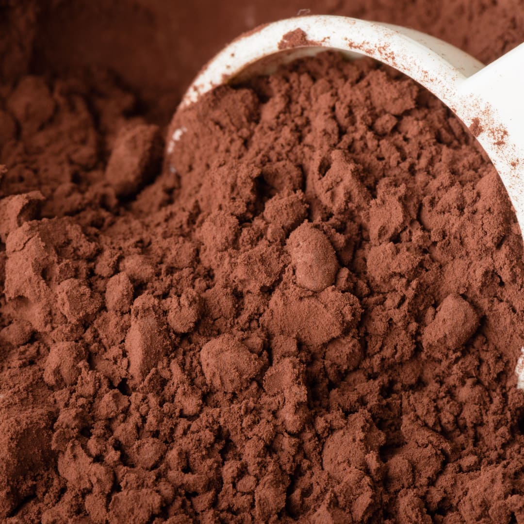 Polvo de cacao en un recipiente