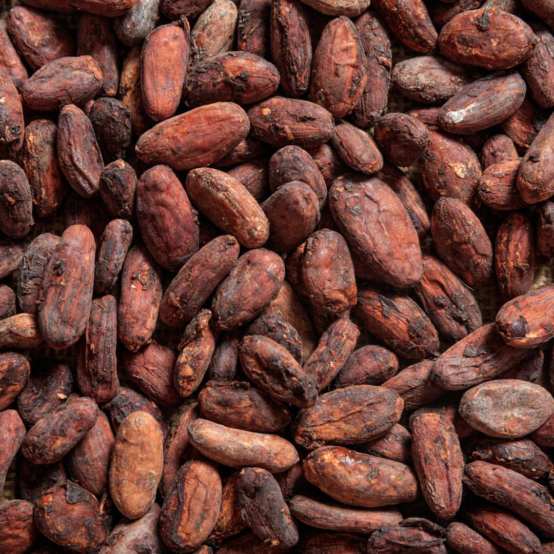 Granos de Cacao