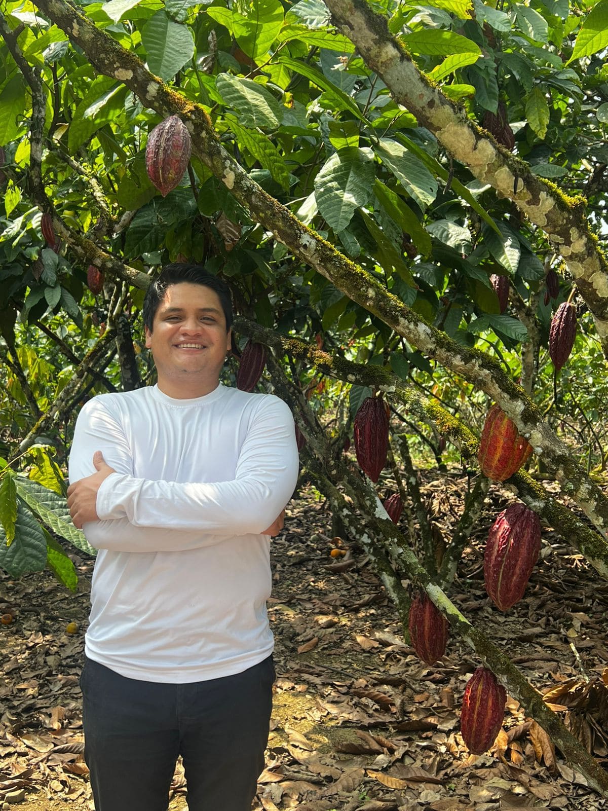 Allan Espinoza en una plantación de cacao